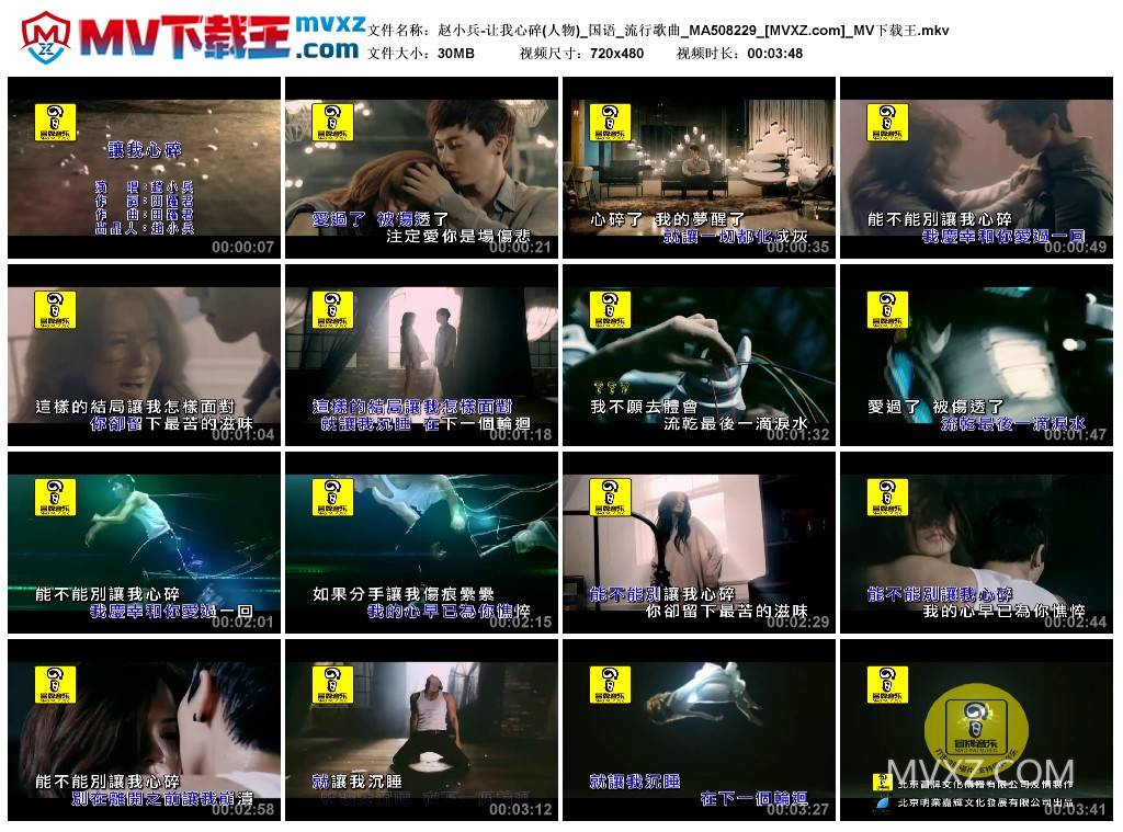 赵小兵-让我心碎(人物)_国语_流行歌曲_MA508229